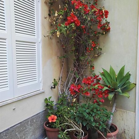 Aloha House Ortigia Βίλα Συρακούσες Εξωτερικό φωτογραφία